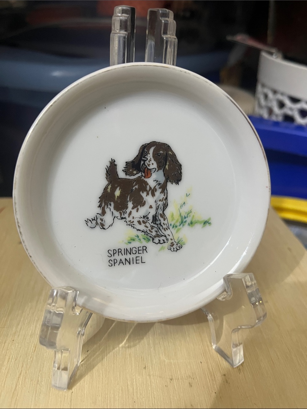 VTG Springer Spaniel Decorative Trinket Dish - White Ceramic Accent Dog Mom 707